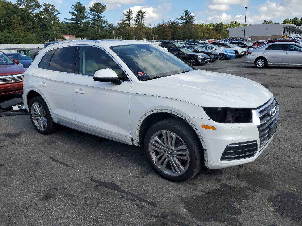Audi Q5 Premium Plus Image 3