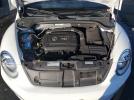 Volkswagen Beetle S/se Image 12