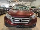 Honda Crv Exl Image 6