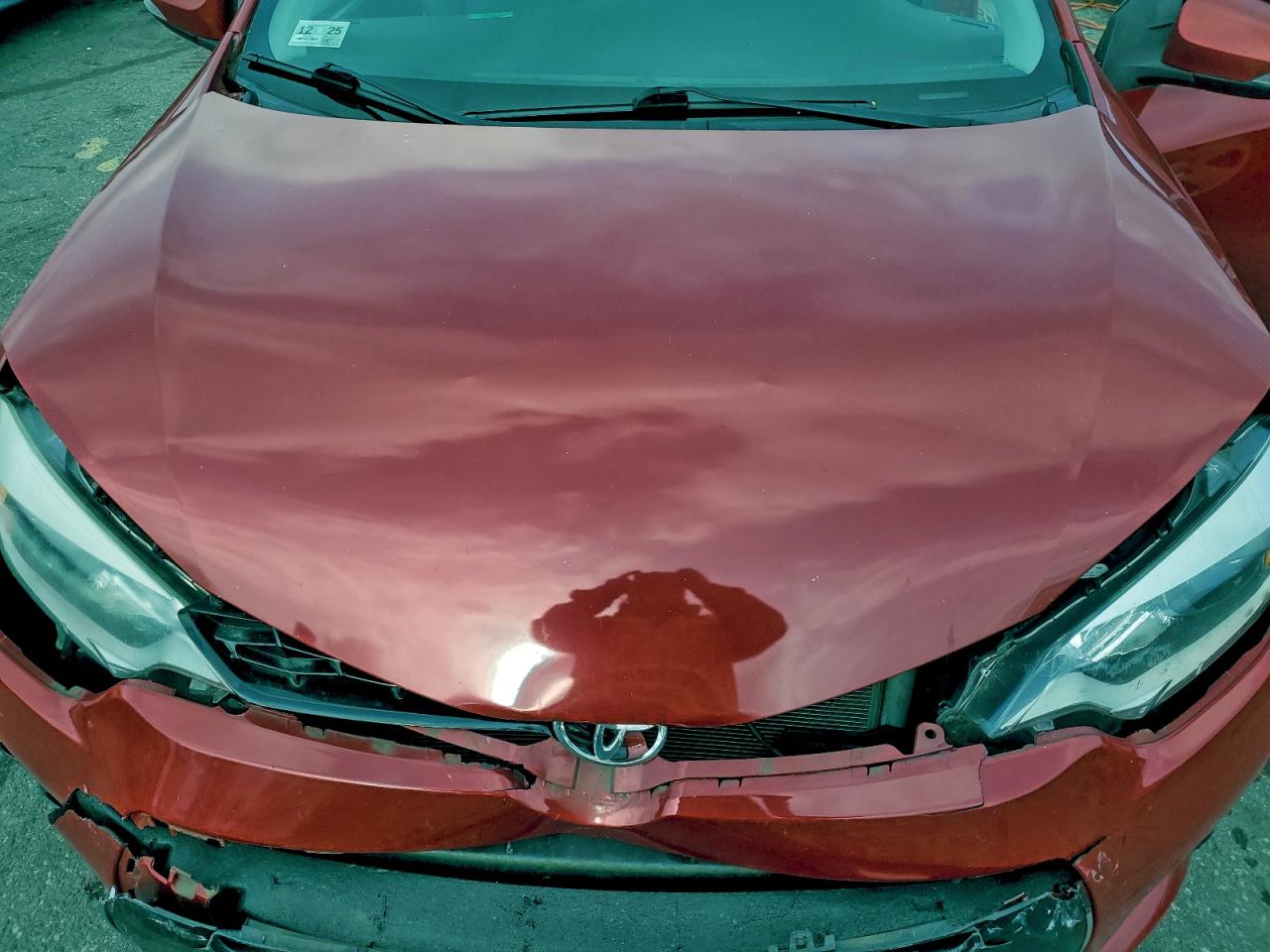 Toyota Corolla L Image 7