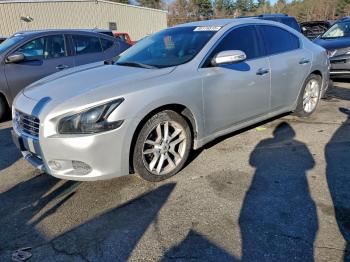  Salvage Nissan Maxima