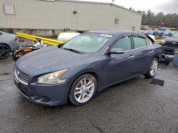  Salvage Nissan Maxima