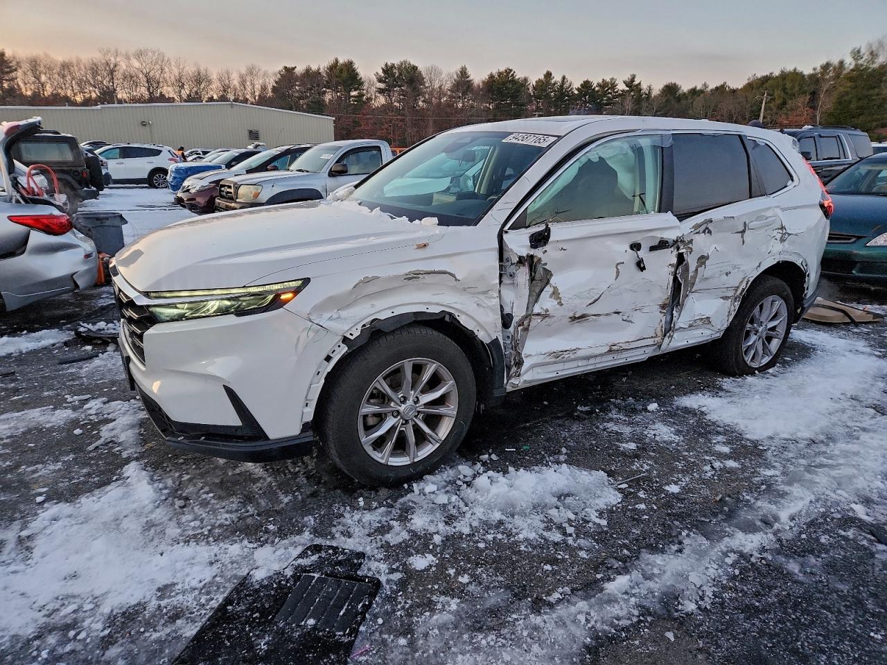 Honda Crv Exl Image 1