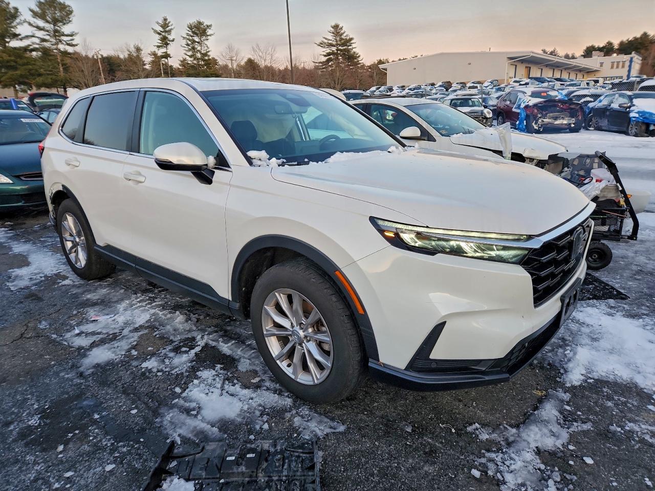 Honda Crv Exl Image 2