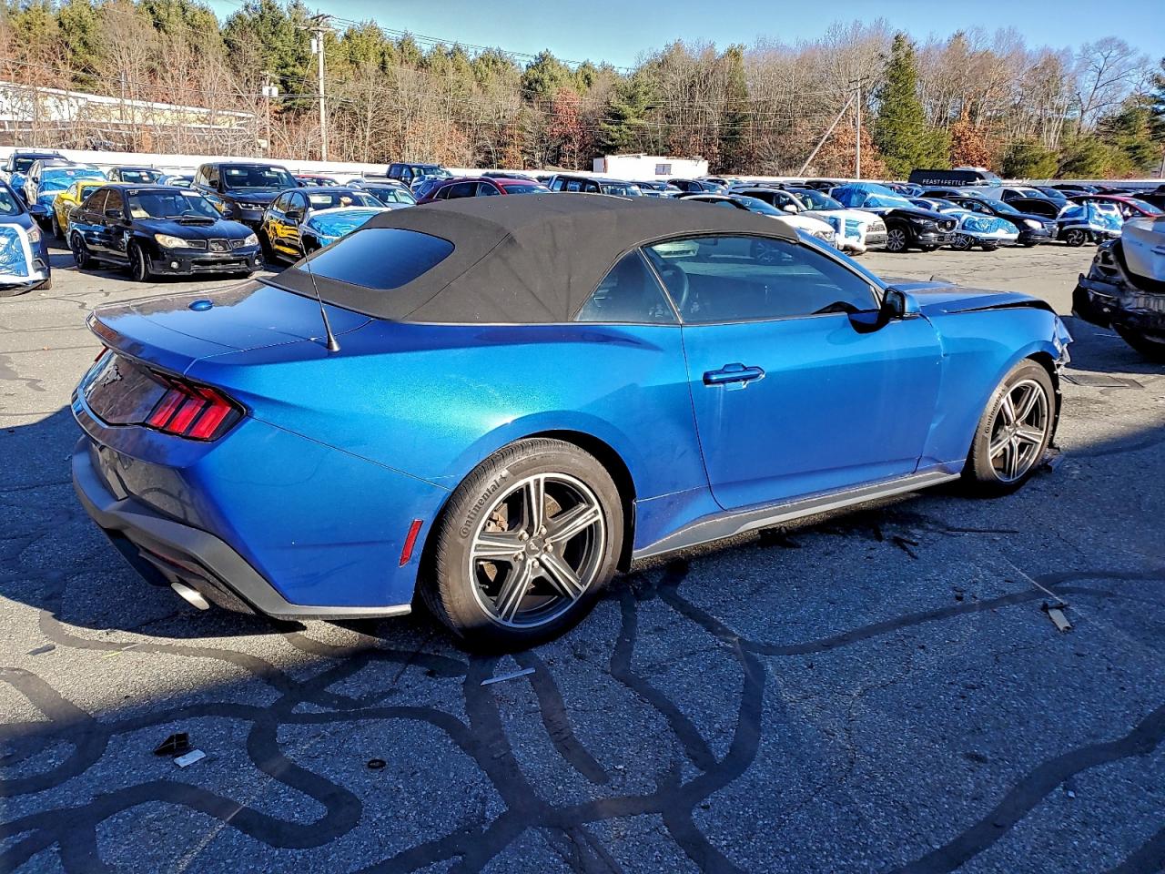 Ford Mustang Image 6