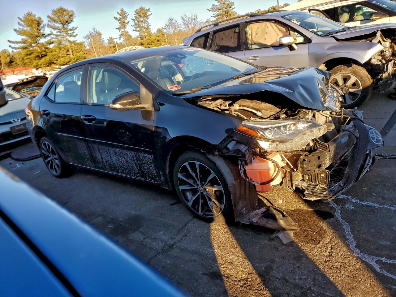 Toyota Corolla L Image 6