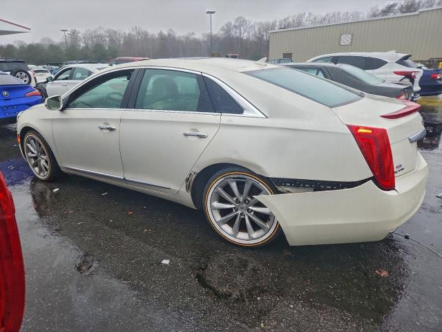 Cadillac XTS Luxury Collection Image 6