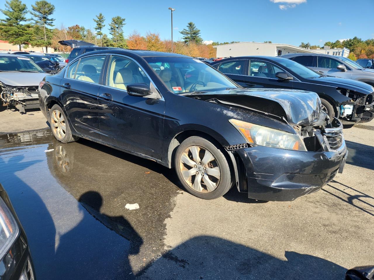 Honda Accord Exl Image 3