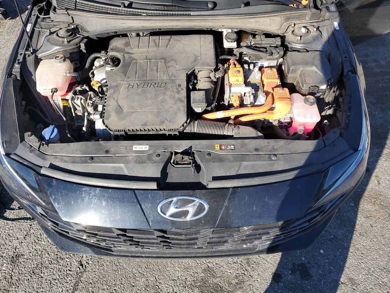 Hyundai ELANTRA Limited Image 8