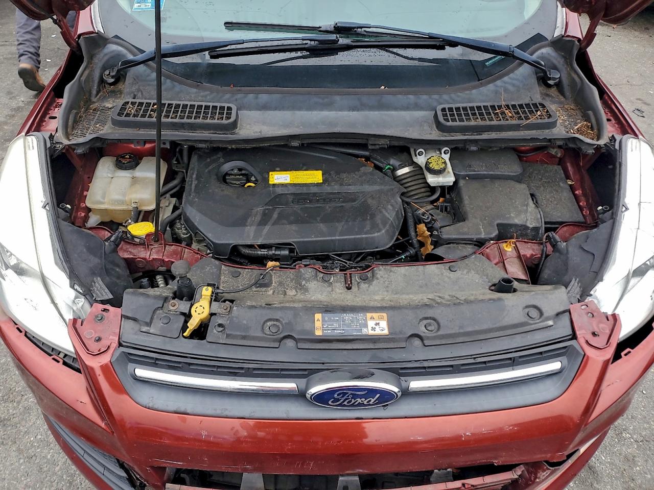 Ford Escape Se Image 9