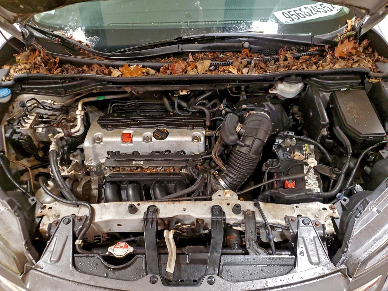 Honda Crv Lx Image 10