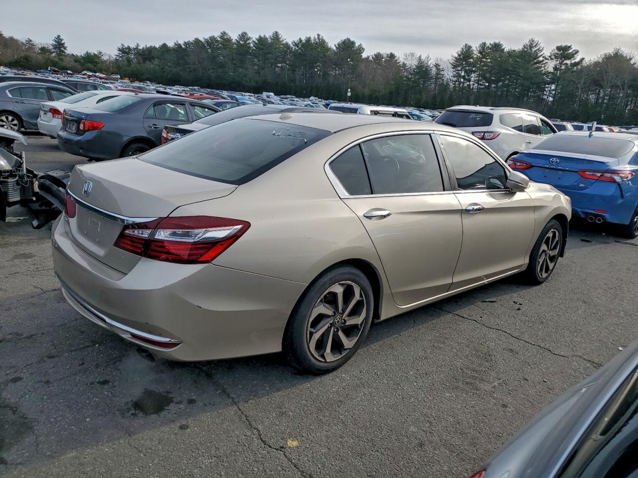 Honda Accord Exl Image 2