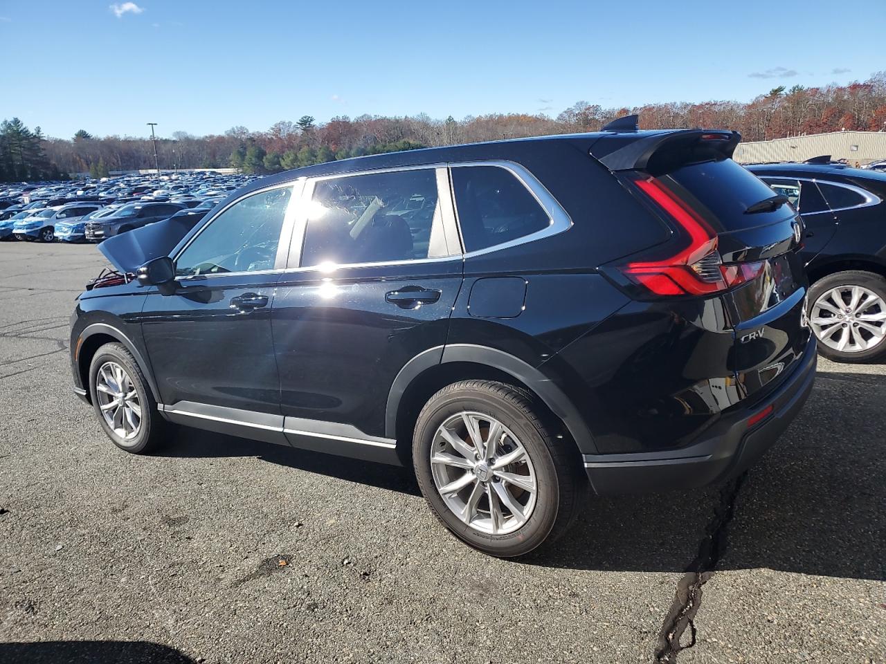 Honda Crv Exl Image 7