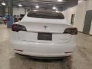 Tesla Model 3 Image 5