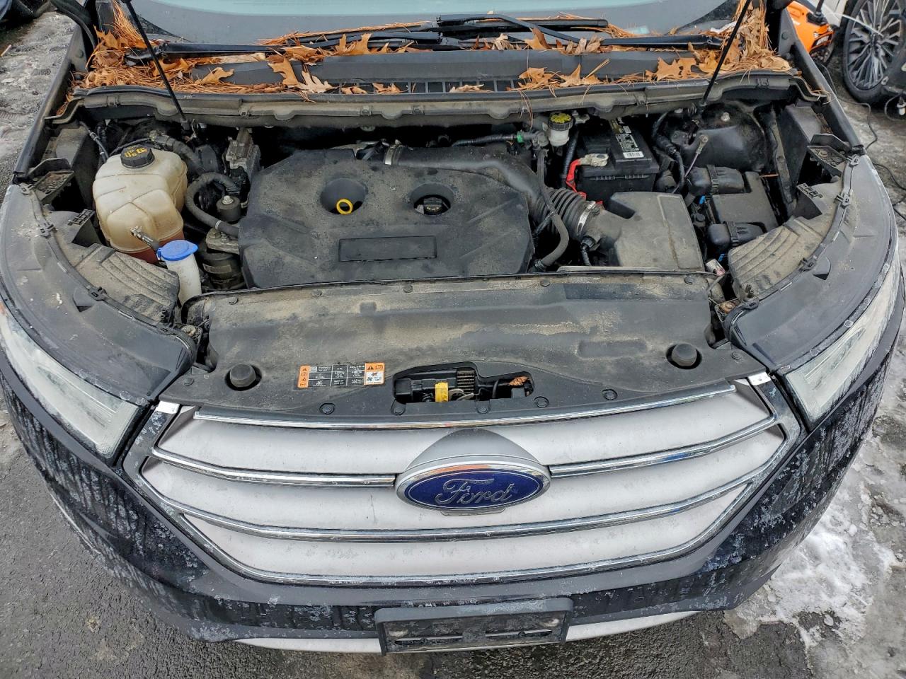 Ford Edge Titanium Image 7