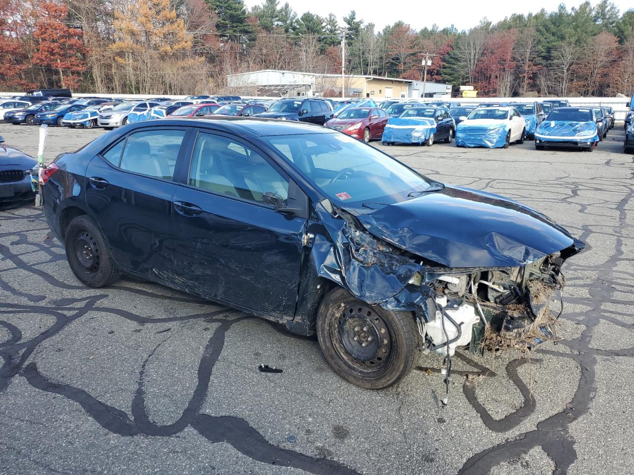 Toyota Corolla L Image 4