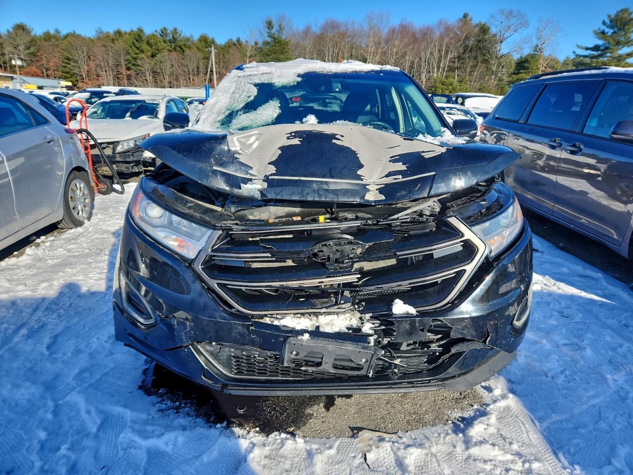 Ford Edge Sport Image 7