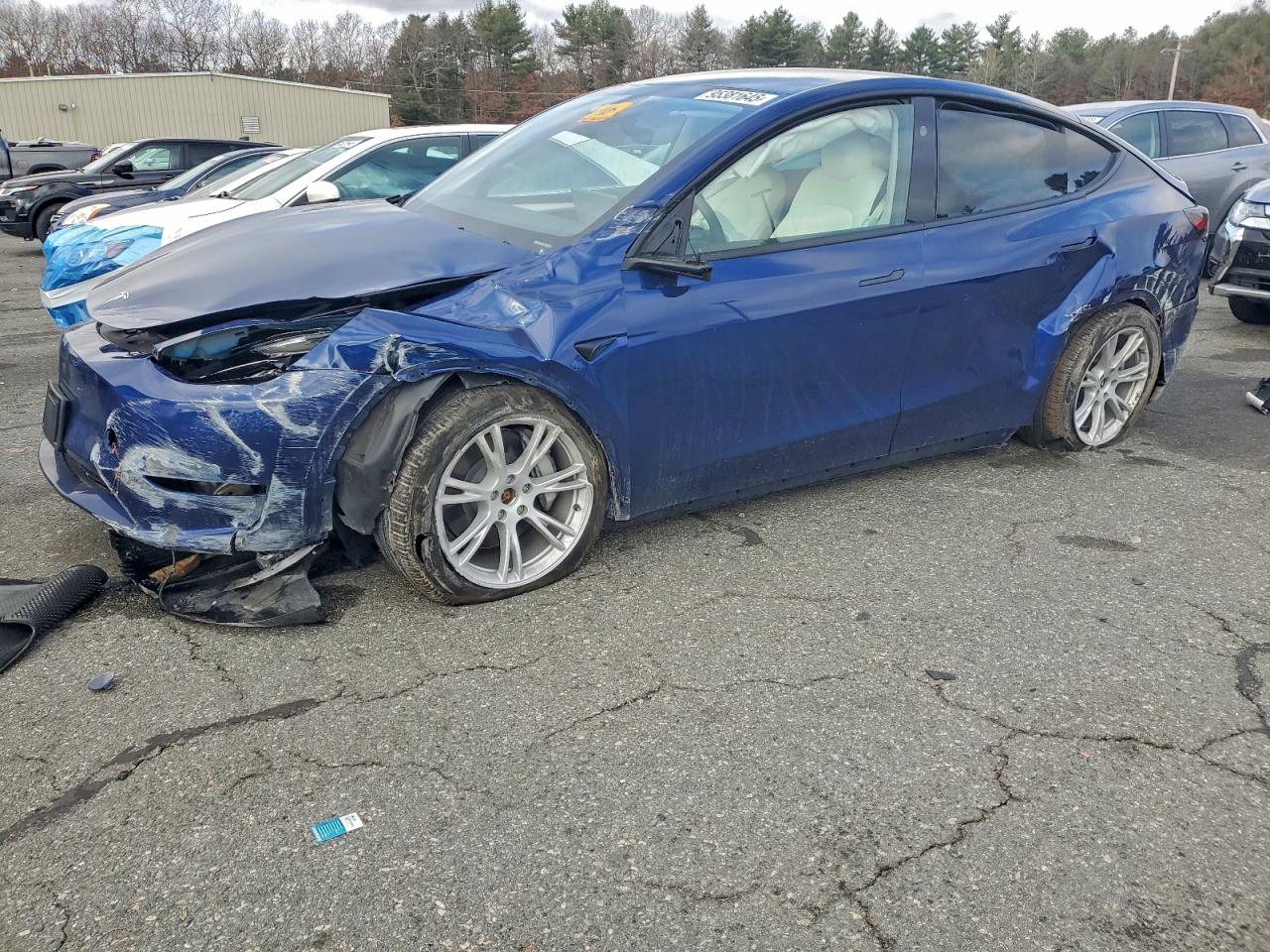 Tesla Model Y Image 1