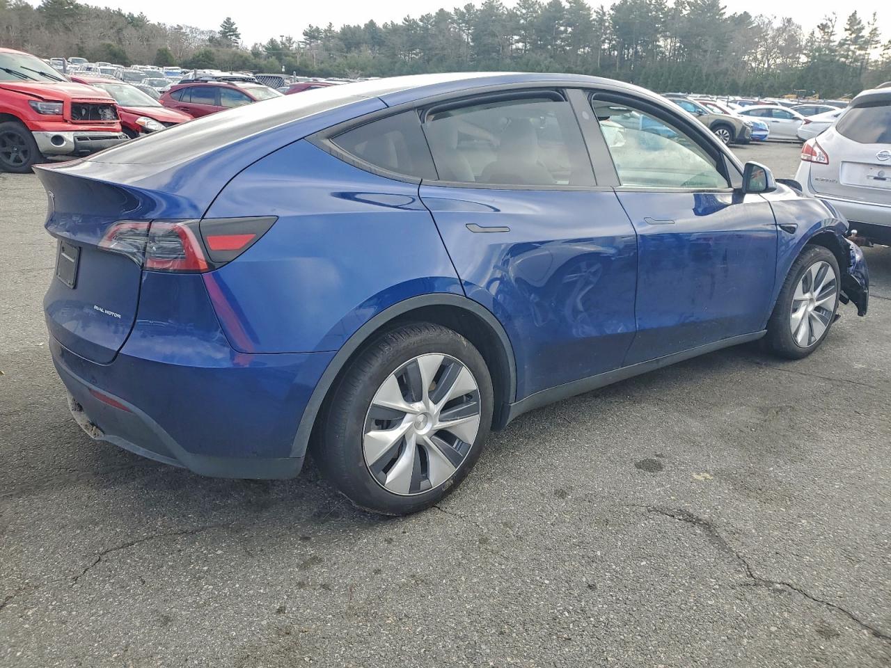 Tesla Model Y Image 13