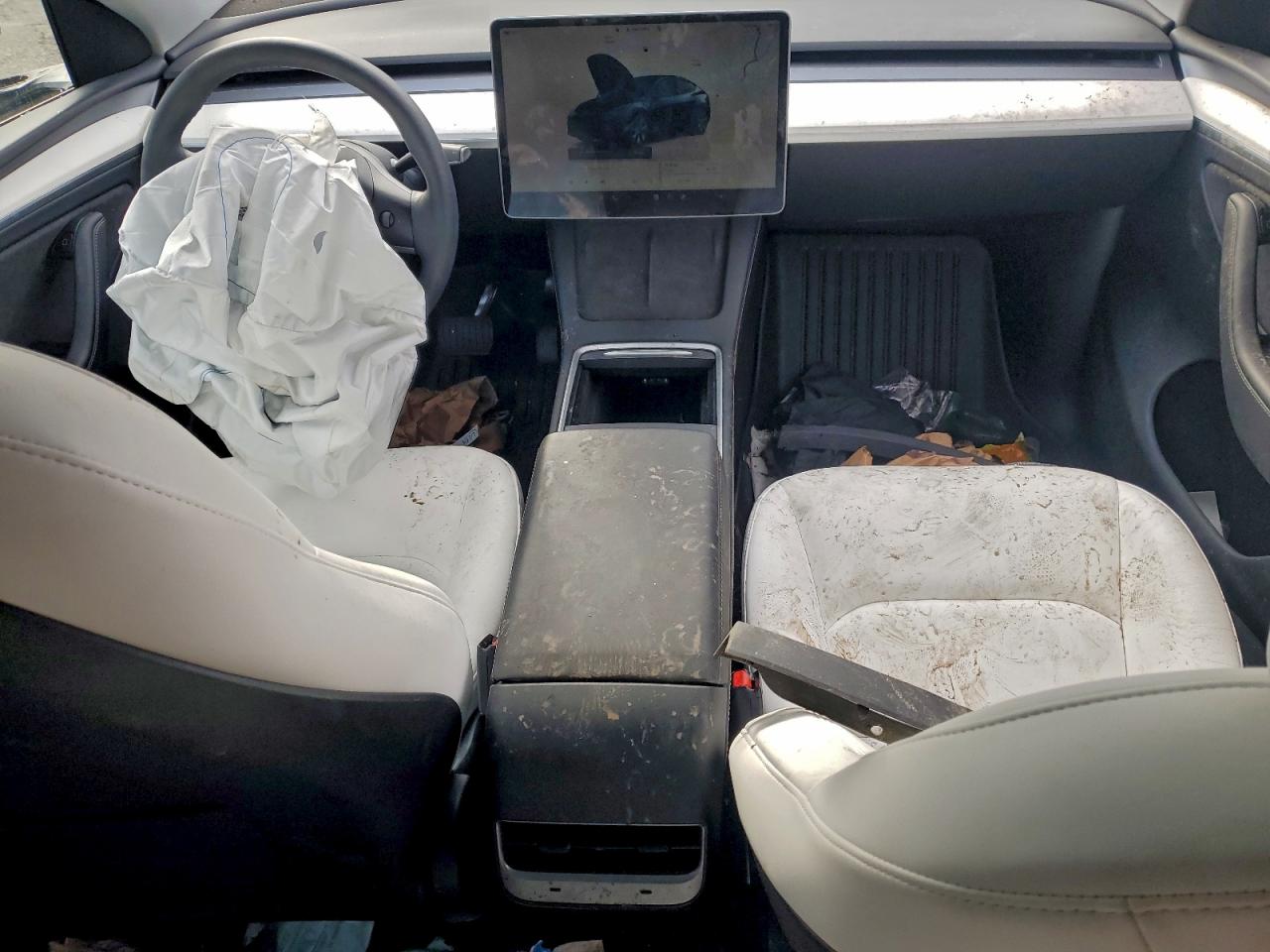 Tesla Model Y Image 7