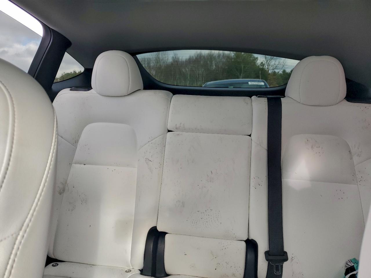 Tesla Model Y Image 9