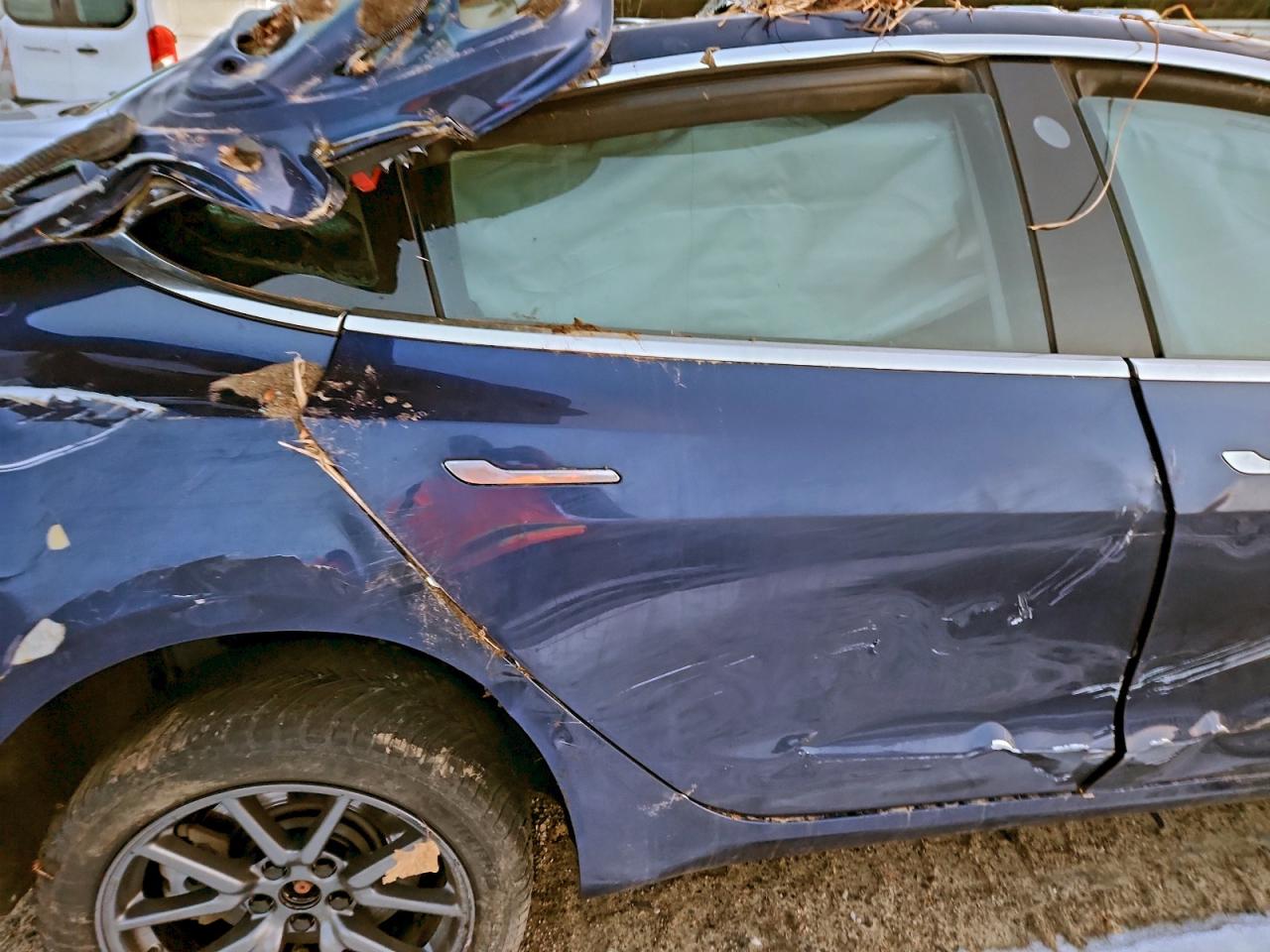 Tesla Model 3 Image 9