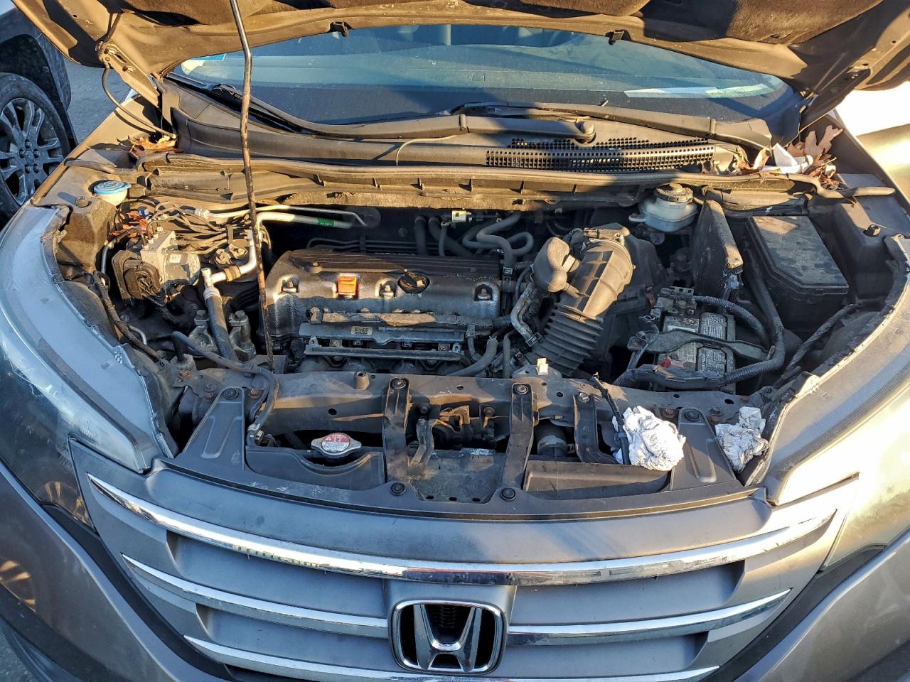 Honda Crv Lx Image 5